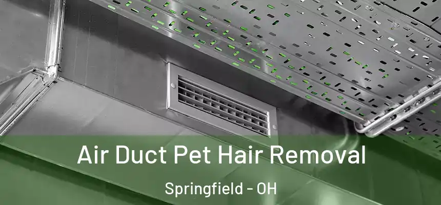 Air Duct Pet Hair Removal Springfield - OH
