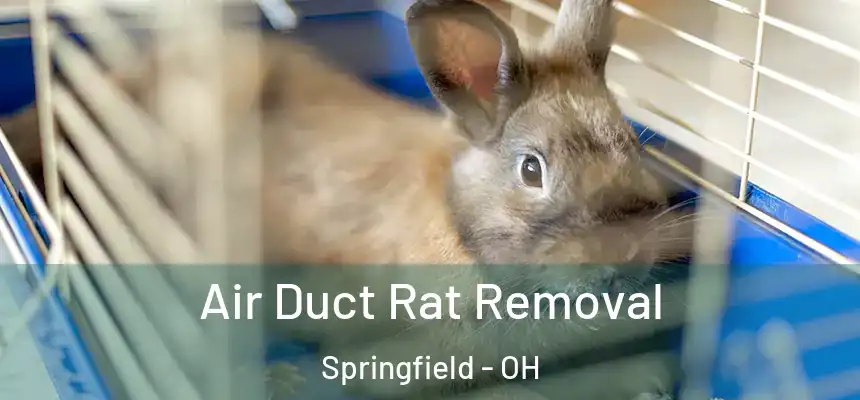 Air Duct Rat Removal Springfield - OH