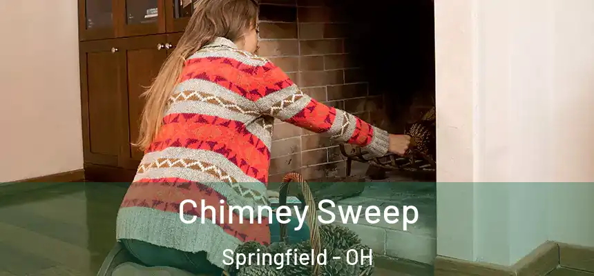 Chimney Sweep Springfield - OH