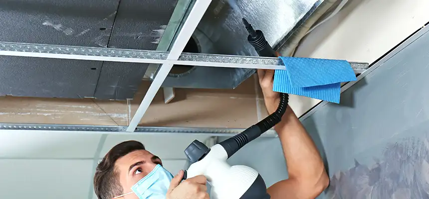 Our Air Duct Rodent Removal Services in Springfield, OH