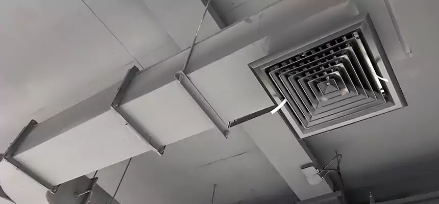 Restorative Allergy Relief Vent Cleaning – Coil, Blower & Housing Detail in Springfield