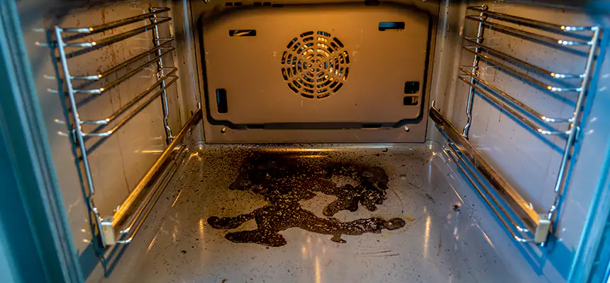 Our Dryer Vent Mold Cleaning Services in Springfield, OH