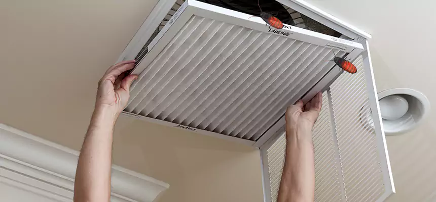 Our Insect Removal from Air Ducts Services in Springfield, OH
