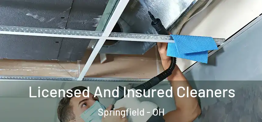  Licensed And Insured Cleaners Springfield - OH