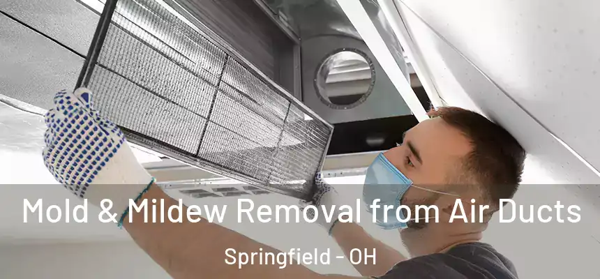 Mold & Mildew Removal from Air Ducts Springfield - OH