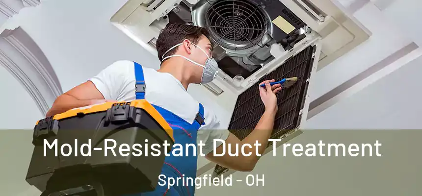 Mold-Resistant Duct Treatment Springfield - OH