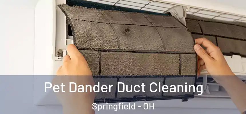  Pet Dander Duct Cleaning Springfield - OH