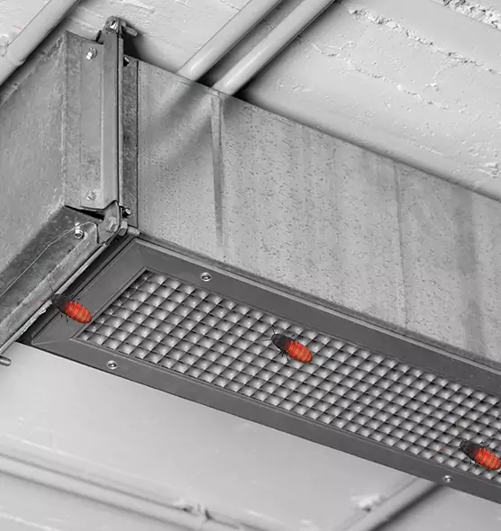 About Air Duct Cockroach Removal in Springfield, OH
