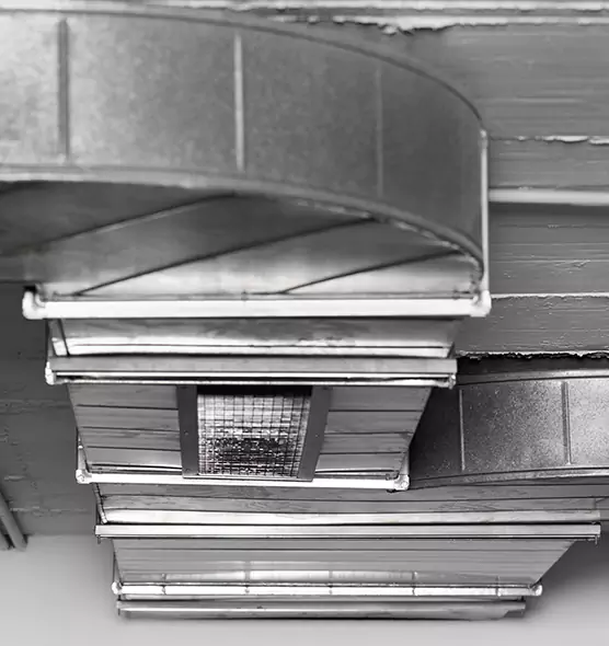 Professional Air Duct Pest Removal in Springfield, OH