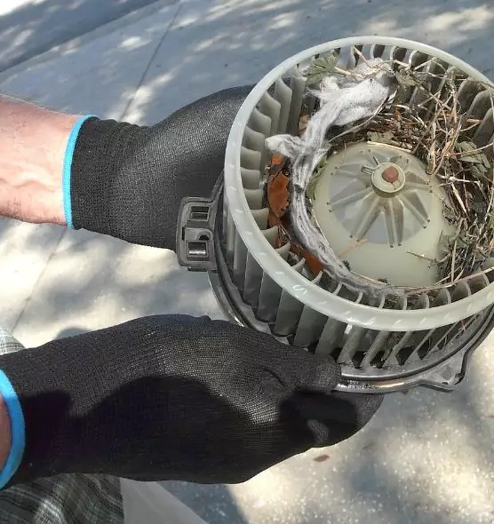 About Air Duct Rat Removal in Springfield, OH