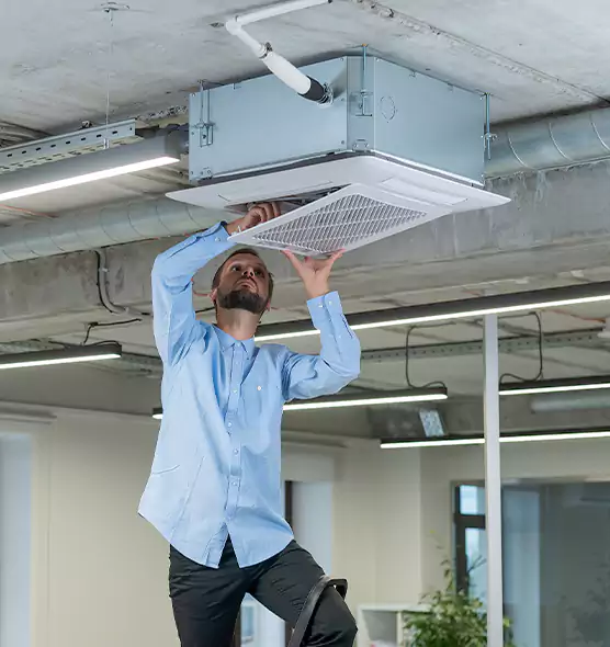 Advanced Rodent Droppings In Vents in Springfield, OH