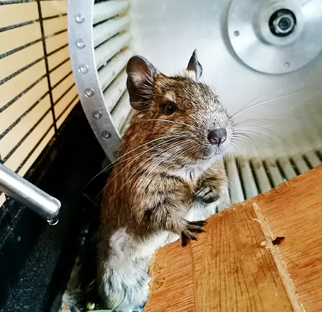 Why Homeowners & Businesses Trust Us Springfield, OH